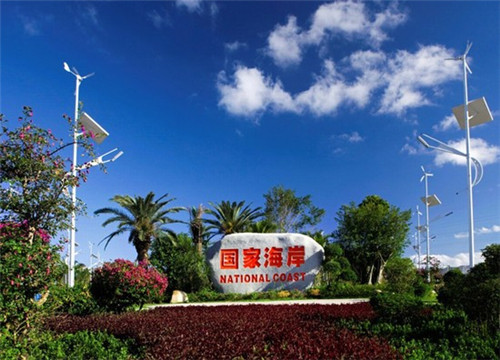 纯色奶茶是什么奶茶店名字，纯色奶茶是什么奶茶店