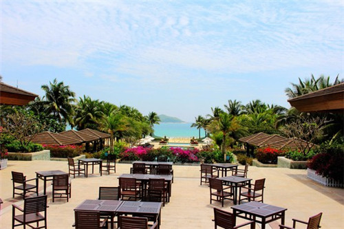 加盟哈萨奶咖奶茶开店城市应该如何选择