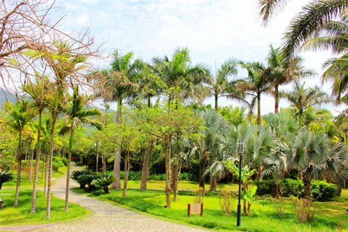 爱乐多衣柜是十大品牌吗（爱乐多衣柜是十大品牌吗知乎）