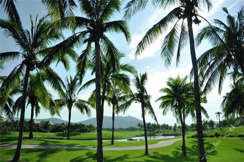 80后早上起床的歌是什么（早晨起床的歌曲）