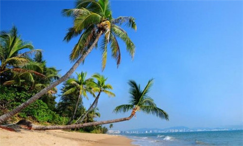 火锅店装修经典设计案例（火锅店装修设计风格）