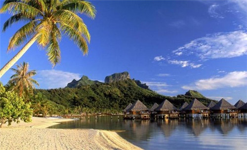 十大标准化体系是什么（中国十大标准）